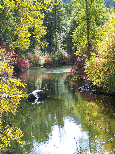 Fall colors on the Wenatchee River