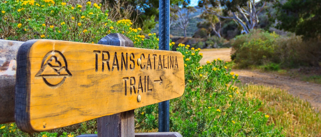 Trans Catalina Trail