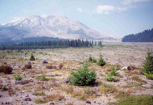 1995 Mt St Helens