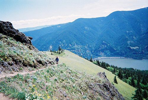 Dog Mountain Trail