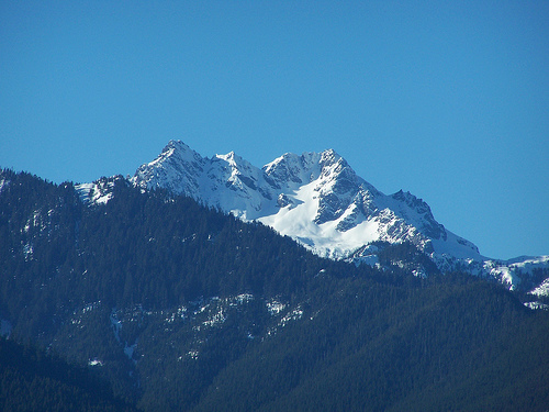 2008-01-21 Guillemot Cove