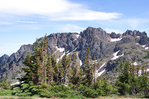 Mt Constance from Marmot Pass