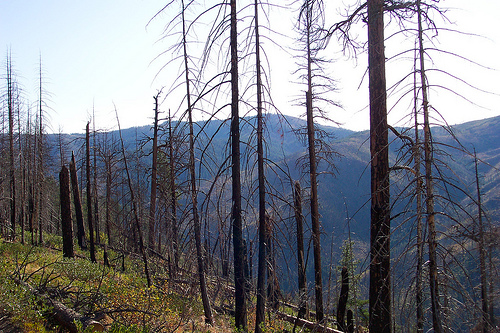 Pot Peak