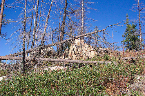 Pot Peak