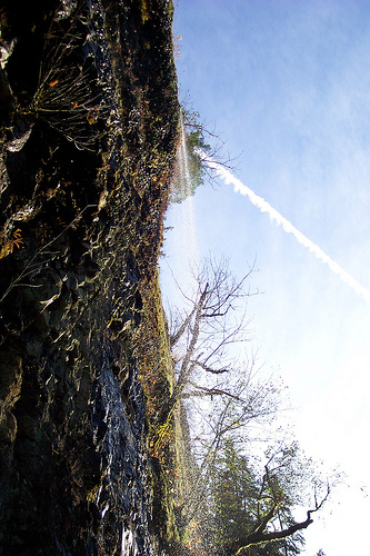 Eagle Creek Trail