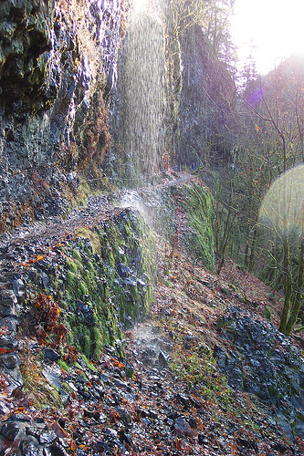 Eagle Creek Trail