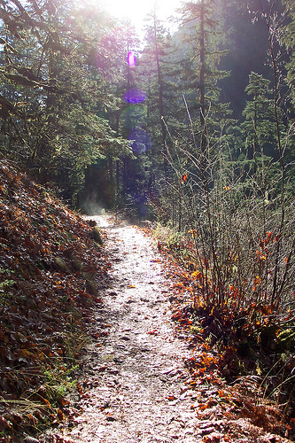 Eagle Creek Trail