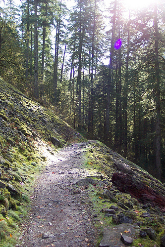 Eagle Creek Trail