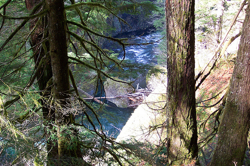 Eagle Creek Trail