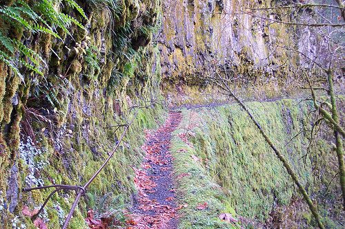 Eagle Creek Trail