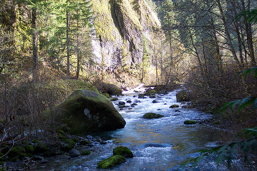 Eagle Creek Trail