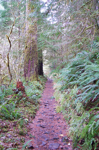 Eagle Creek Trail