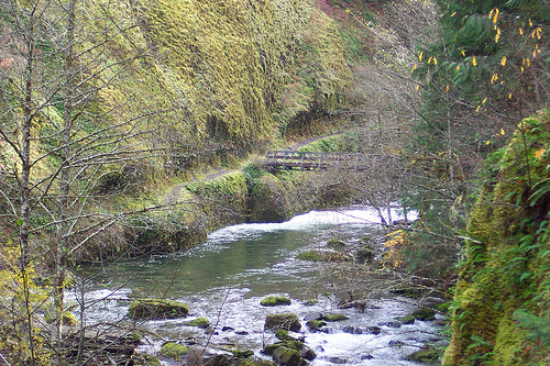 Eagle Creek Trail