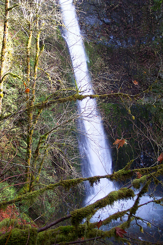 Tunnel Falls