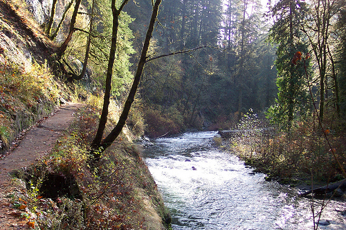 Eagle Creek Trail