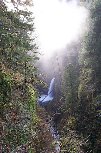 Eagle Creek Trail