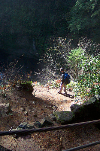 Punch Bowl Falls