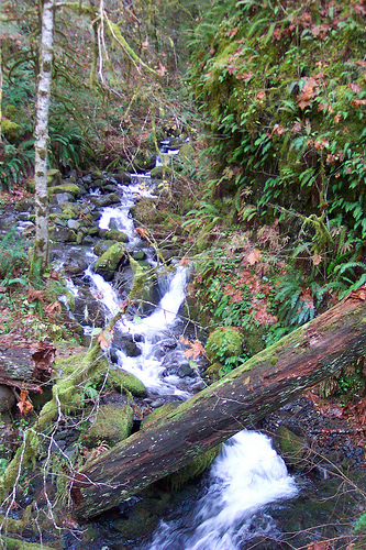 Eagle Creek Trail