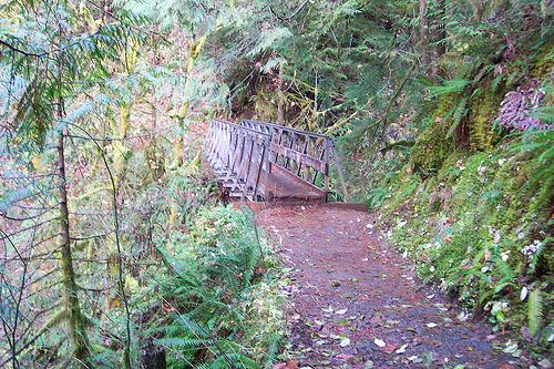 Eagle Creek Trail