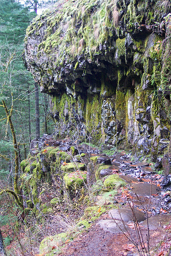 Eagle Creek Trail