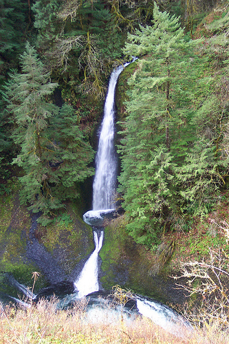 Eagle Creek Trail