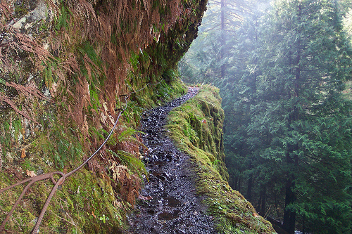 Eagle Creek Trail