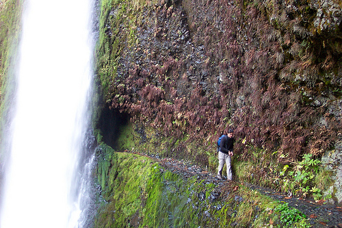 Tunnel Falls