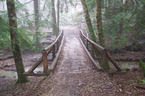 Wildcat Trail Bridge Wildcat Creek