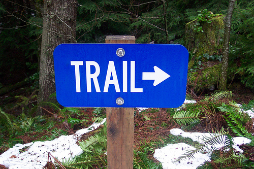 Wildcat Trail 