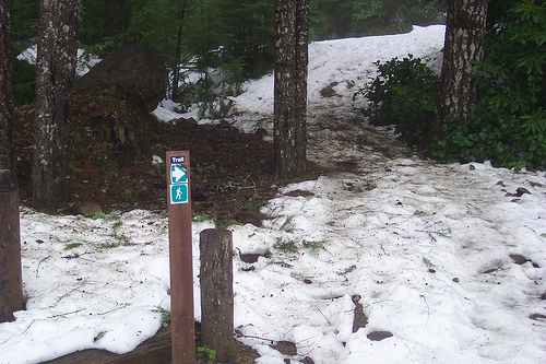 Near Green Mountain Summit 