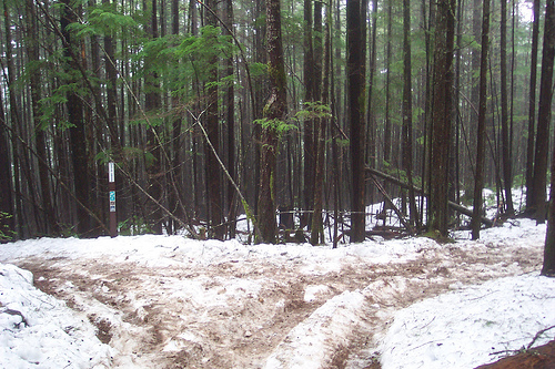 Wildcat, Gold Creek and Vista Trail Intersection