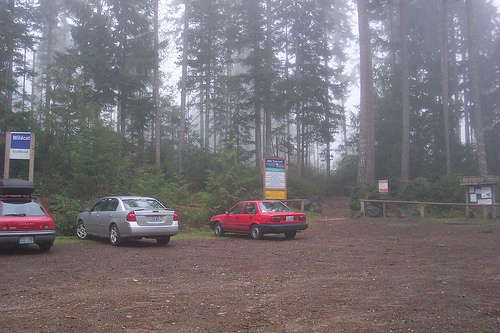 Wildcat Trailhead