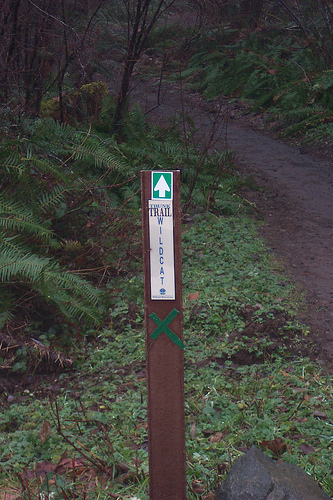 Wildcat Trail 