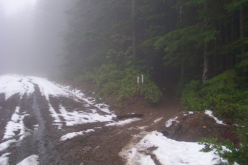 Road Near Green Mountain Summit 