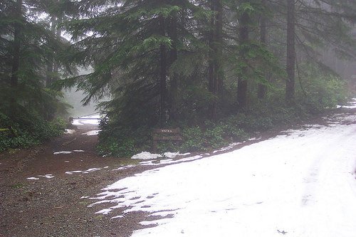 Road Near Green Mountain Summit 