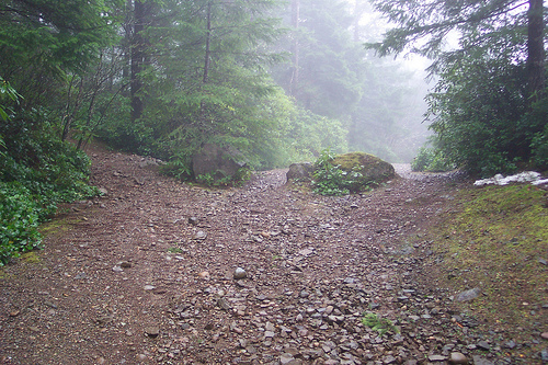 Near Green Mountain Summit 