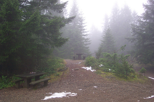 Green Mountain Summit 