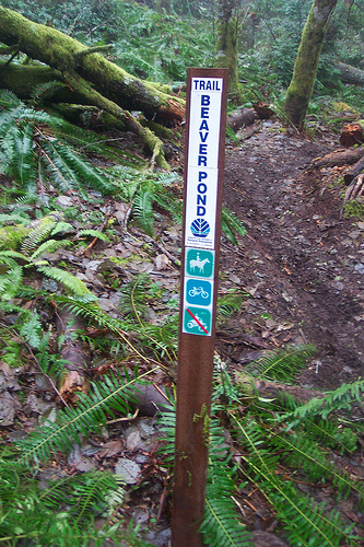 Beaver Pond Trail Sign