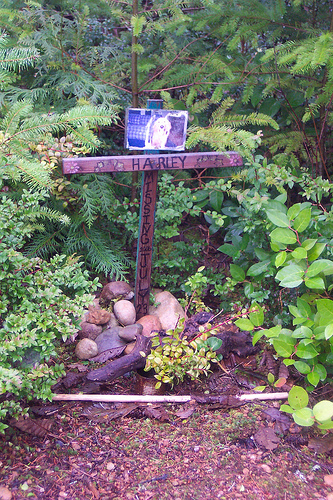 Lost dog memorial on Wildcat Trail