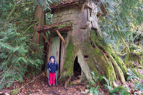 Stumphouse