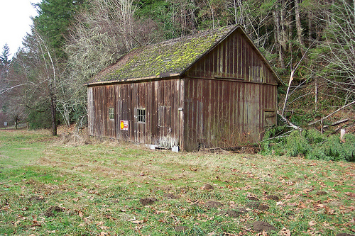 Guillemot Cove Barn