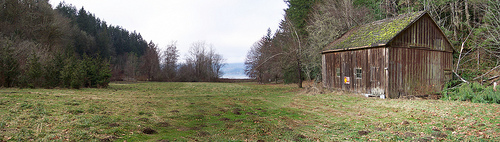 Guillemot Cove Panorama