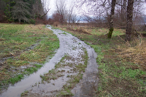 Guillemot Cove Access Road now Boyce Creek