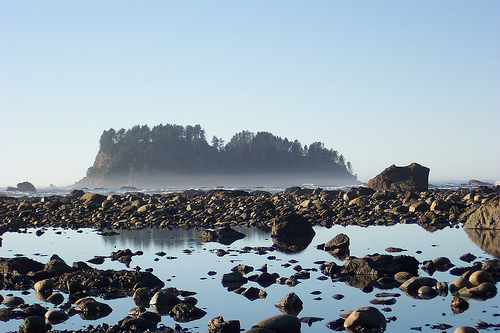 Ozette Loop