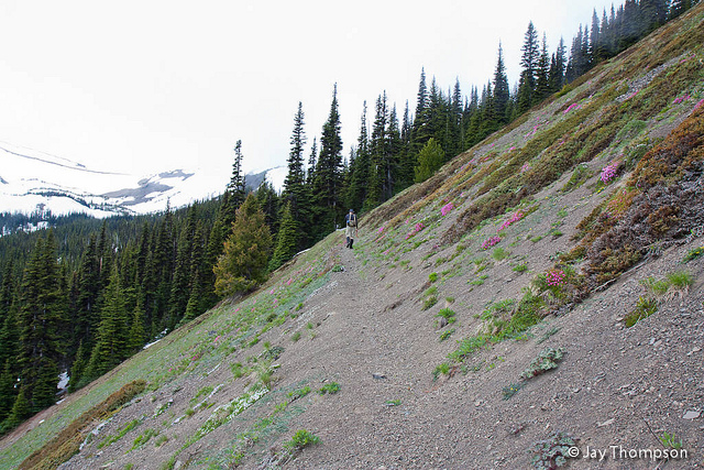 2011-06-19 Buckhorn Pass-Windy Gap-036