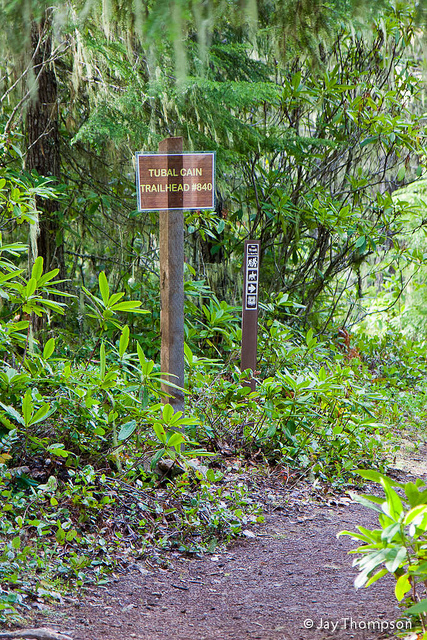 2011-06-19 Buckhorn Pass-Windy Gap-004