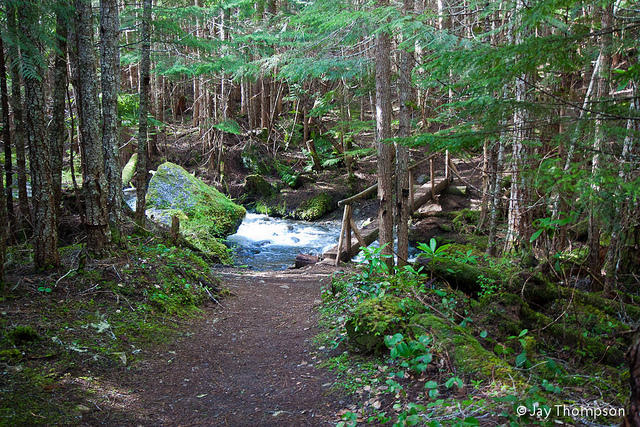 2011-06-19 Buckhorn Pass-Windy Gap-005