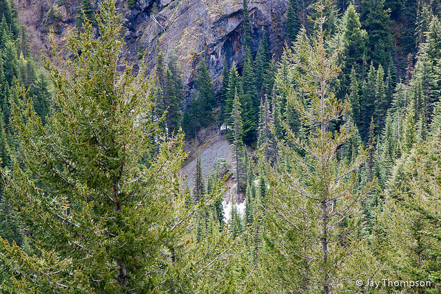 2011-06-19 Buckhorn Pass-Windy Gap-020