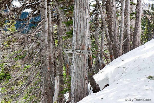 2011-06-19 Buckhorn Pass-Windy Gap-032