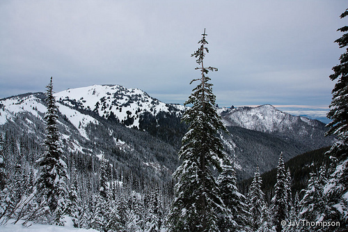 2011-11-20 Hurricane Ridge Snowshoe with Hayden-055